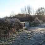 Gardening on Ice is NOT Hip