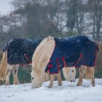 Snow days in Spring!