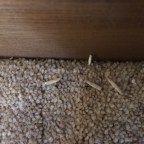 Tiny and Insignificant – I Think Not!