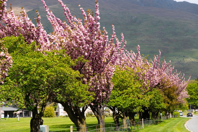 0D5727A2-881B-44AC-94D9-A011B486E13E