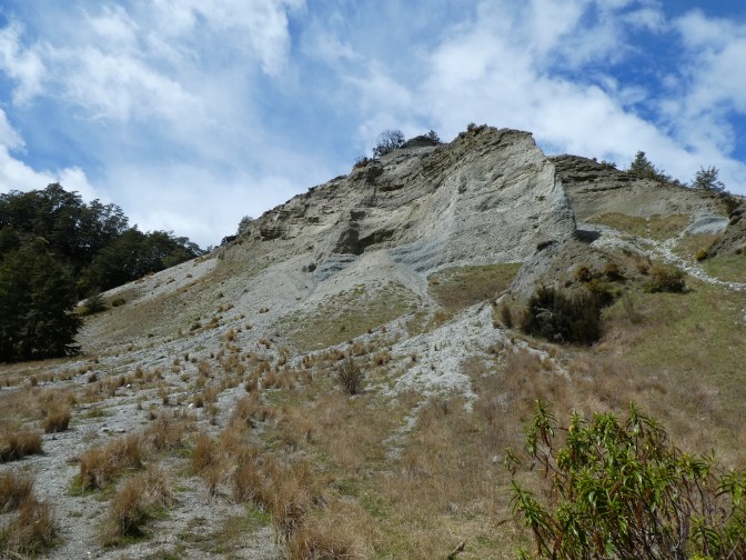 1954AA90-D3BE-4337-A35C-3FF7F4500C21