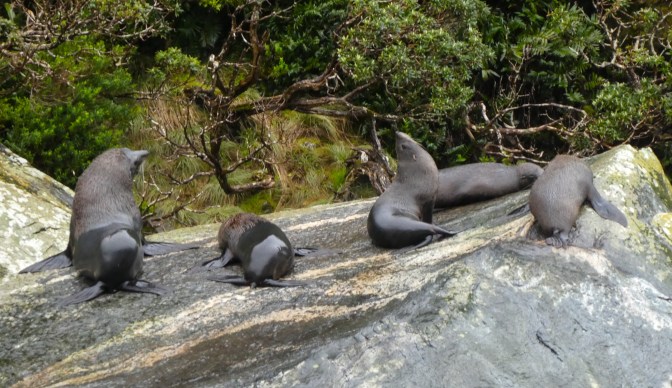 1EC319AD-678B-49D2-9311-06F21947AD9B