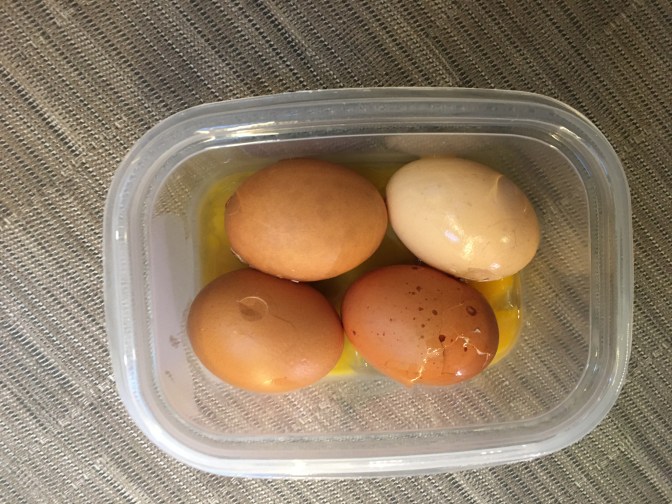 1F9B3366-432B-49EC-9B72-19163C16B82F