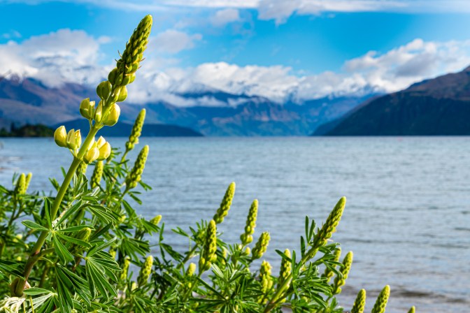 21B4671F-F82F-4BA6-96C2-C8049DF3B597