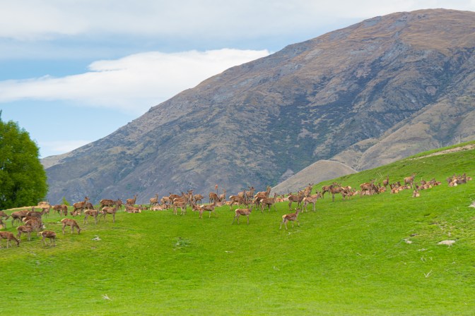 30EA0A40-9D0E-4A3F-B50E-E03B5E0EEFB0