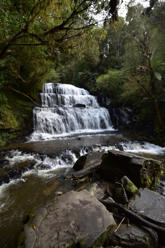 36F85CE7-02B6-4446-B194-129F784E1158