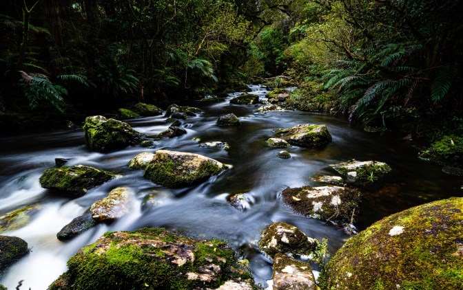 432F3720-A03B-4828-B72B-4BE8BF31FB83