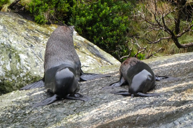 47A450BC-0E9F-4438-A229-8CEA69DD38B1