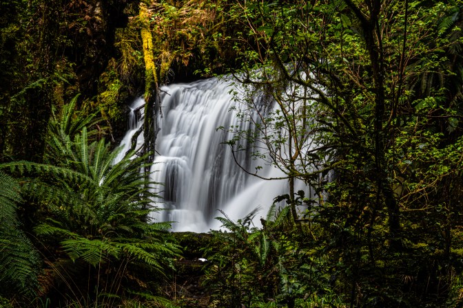 548CB371-BB32-4EDA-93AF-42594F2731BD