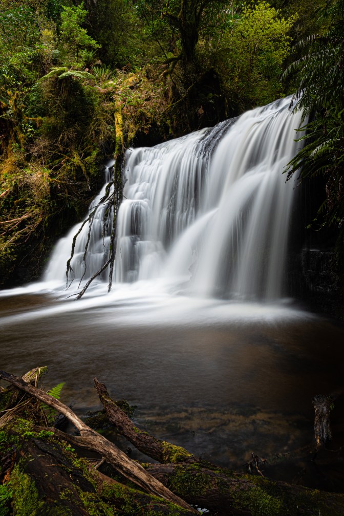 5C503C14-F698-4C4A-9F09-94DBF52DCFD8