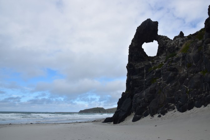 5C65738E-4C6E-4D48-BE8D-F7176FB20F42