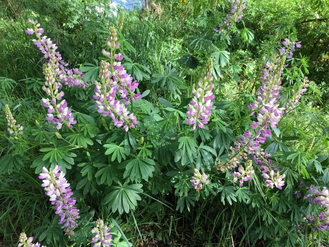 5E0493EE-A590-4A7F-8AB4-AF25634E5D50