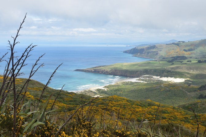 6A10F4A5-6721-449C-9531-BD273F8A9EEF