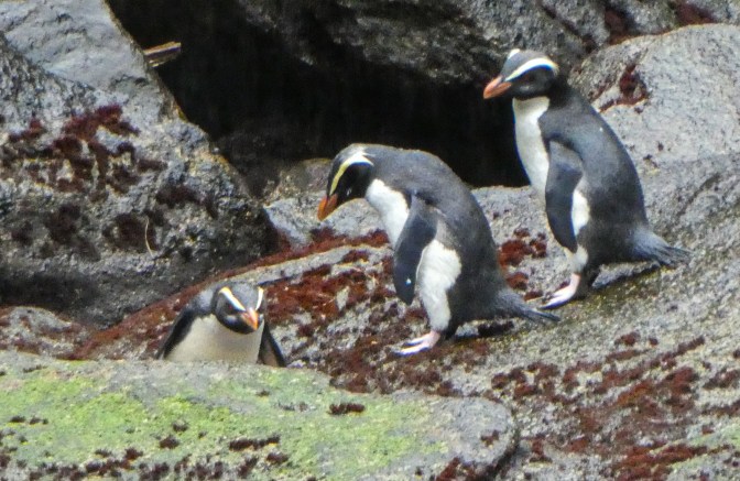 90FFF6AF-636C-47DB-A1DD-3D6402B9DC9D