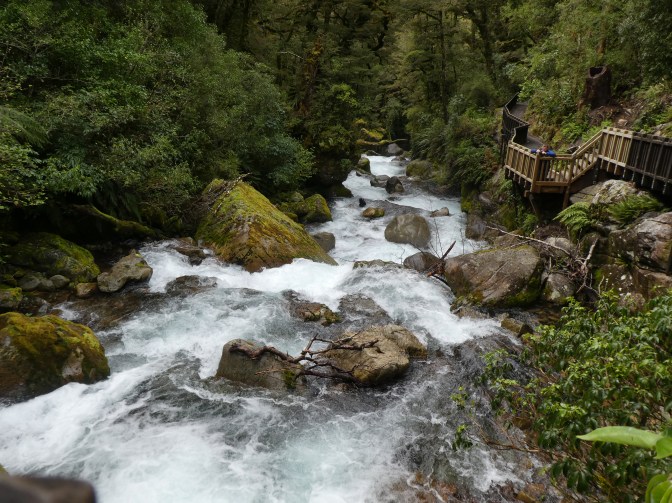 96EF464B-F4FD-44B3-B228-2E1D93EC5047