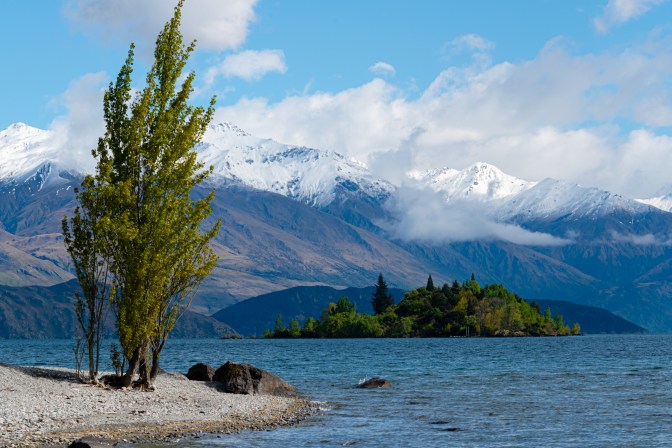 9934FF79-49F9-4A25-BA79-55018BF36CF1