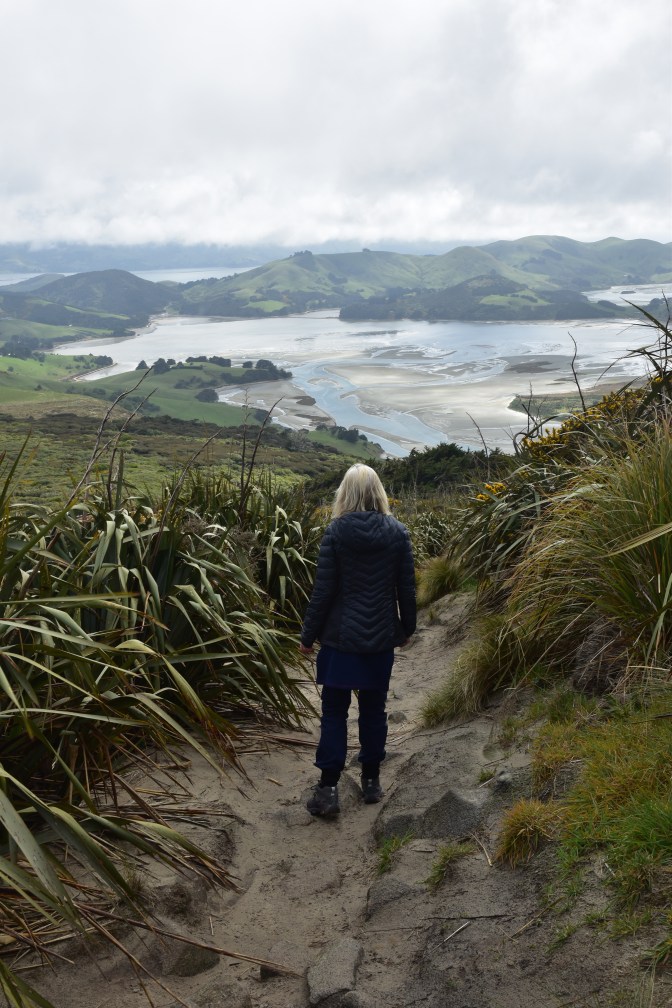 9F814D90-5B52-47A2-903D-F9F2E3A26923