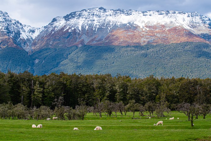 9FC0E9D1-F188-4467-8005-AE32A5B84D9C