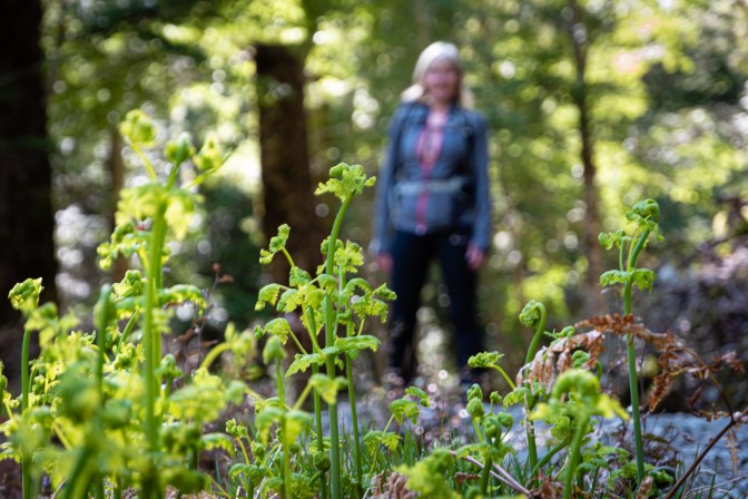 A796278D-2B22-4BE3-824A-2075F55FBE79