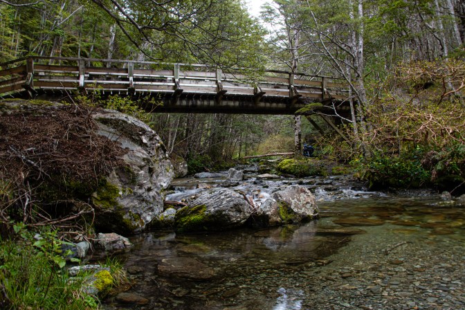 A943CDE6-E5FE-4EA8-8068-031A4C1D7BC9