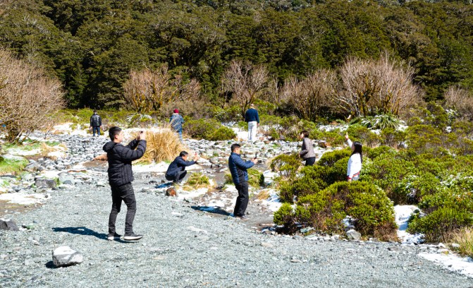 AC268246-DF1E-479E-A6B6-73D1E0CF10E7