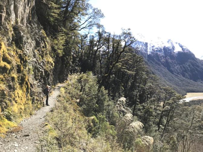 AE57A8C9-F7F0-4100-9FA2-829CB1E1A1AF