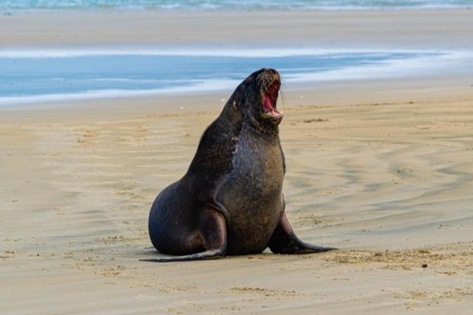 AFC7DB49-2A04-42BC-B261-27DF12D43D93