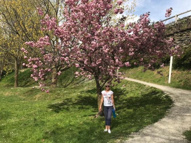 B06E93C1-9BCC-4888-A100-67DB5BB8C0E8