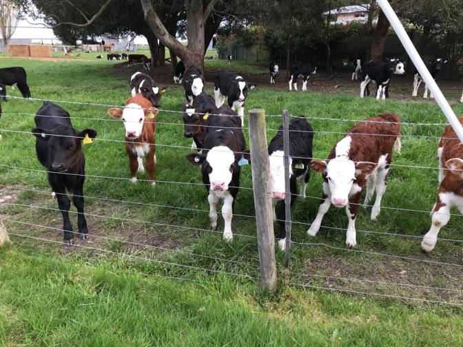 B4CE5A40-2FDB-40DD-9DEF-3811A25CA97A