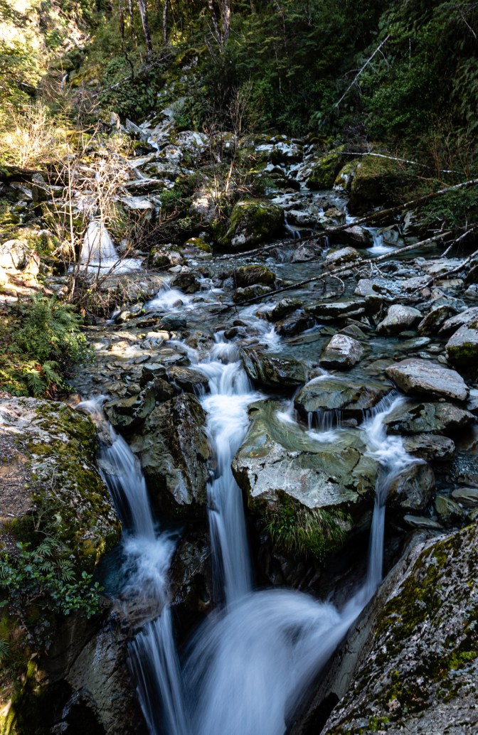 C8AA048B-EFEE-4BA6-B126-210352389510