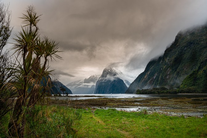 D633664A-DC2C-4AFA-9472-3A4757C96CBB