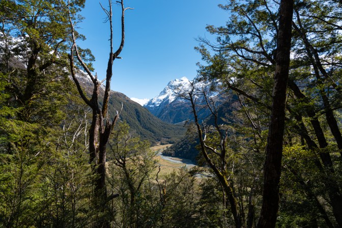 DA021C02-5A0C-4227-A047-AD7F86D1BD83