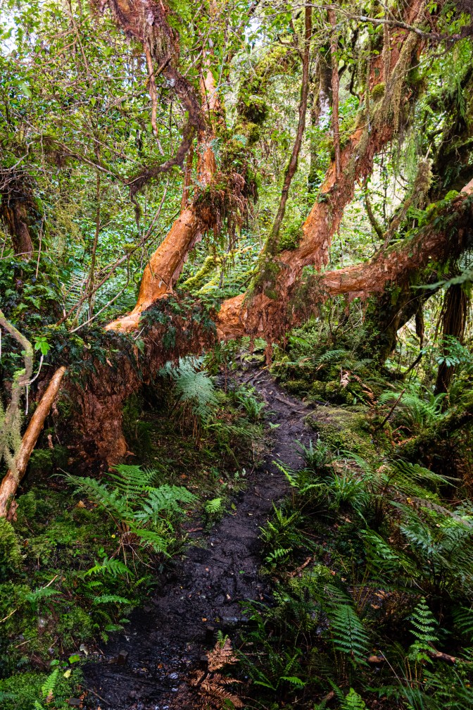 DAD5F27D-9A33-48E7-8CD0-8479543B4492