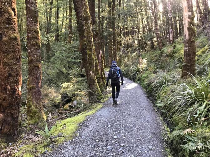 DAE85867-09DA-4674-92F6-5C06DB0F0775