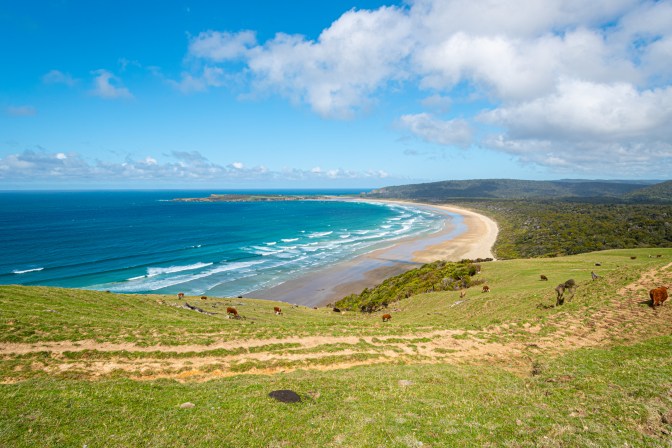 DE155CF3-351D-4F23-A46A-093BCC56FADC