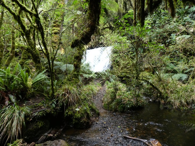 E1F049A2-4620-4365-9367-D0608093FEE3