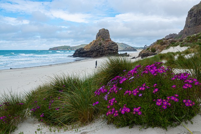 E8ECA50B-2553-4876-ACE2-413108847A1A