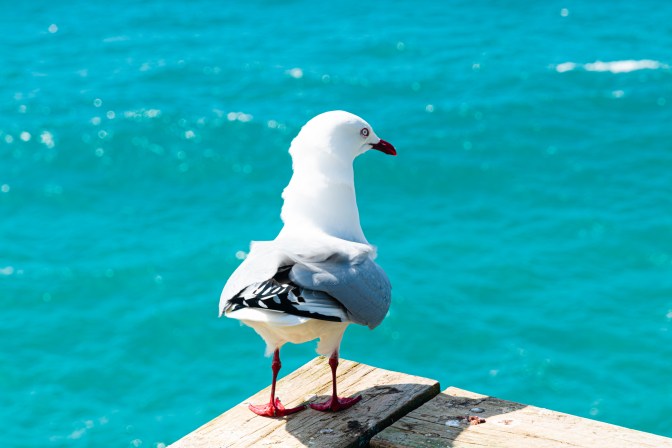 EBE757E5-A68C-48FD-8ED3-864950D44BB2