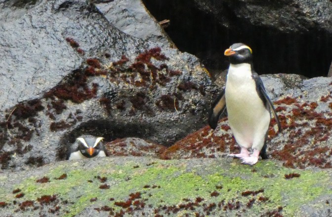 FC7314BB-88A6-40A1-909E-C987BF498014