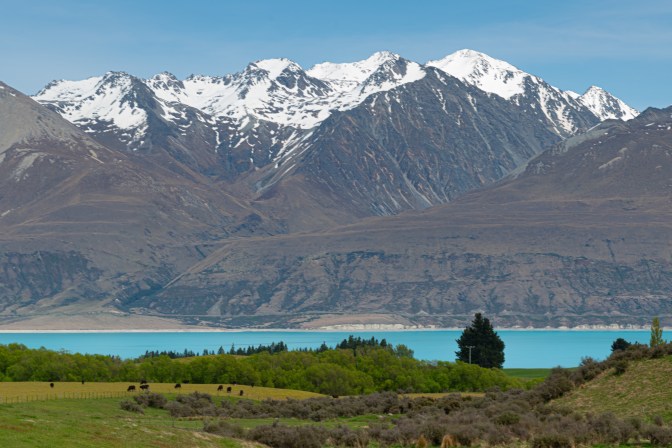 02DD271A-912C-4295-B8D9-7A98D1EB60C5