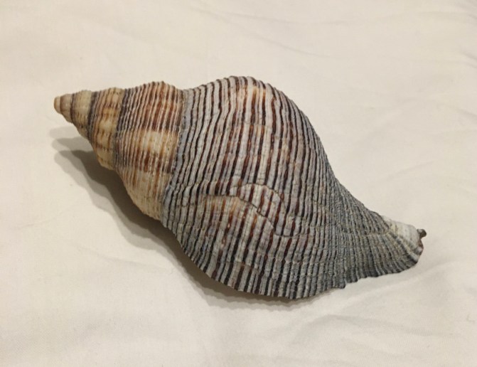 033DF76F-F72D-47CA-B553-A6F1F39C58AE