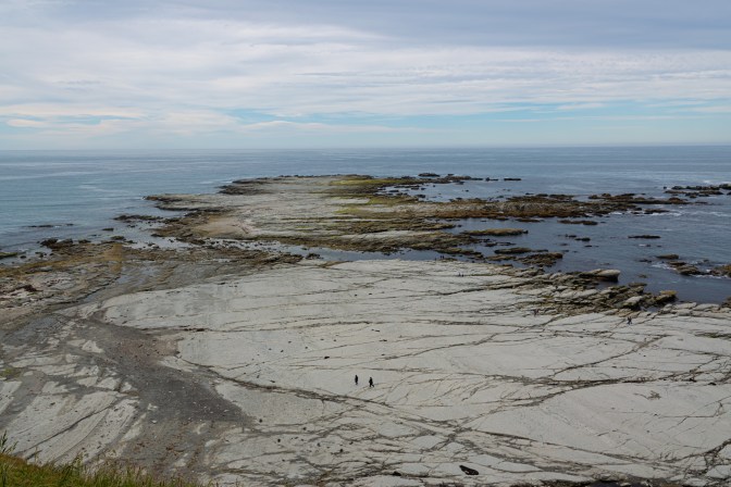 04445605-97BF-4E16-8949-E440C4E51C60