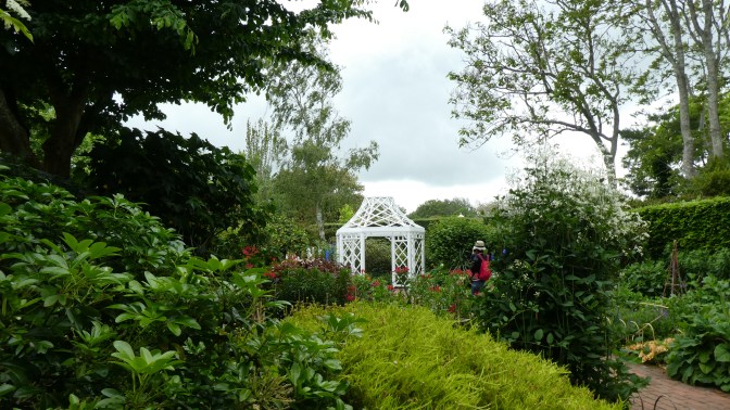 04FF00A1-3352-462A-A5C0-75E6FB181BAF