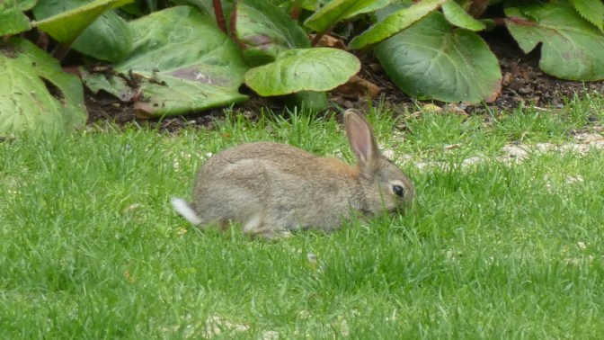 07A66BBC-7431-40EC-BB17-6826850A3B1E