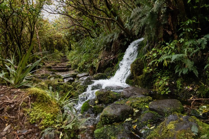 0CDB2135-42A3-447A-9F19-667E53F1D250