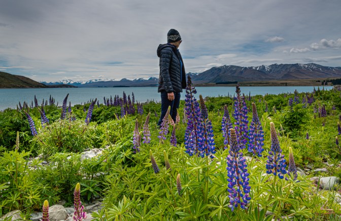 0DD60185-FBB2-4BA1-9F17-B90EA81D6E59