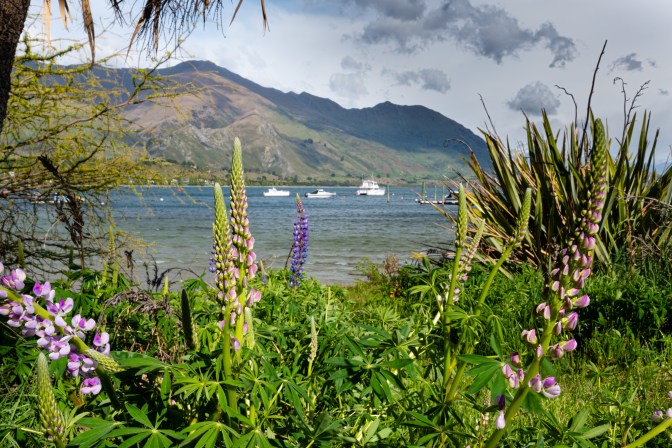 10F5E8F5-6921-4E80-B01F-7A3750986A1C