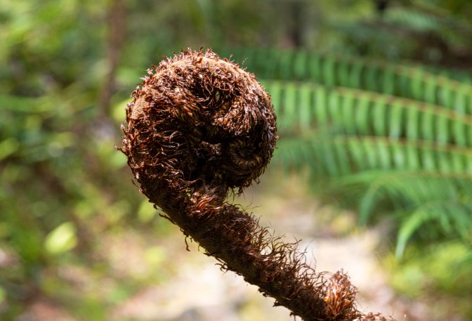 1AC4AA9C-4314-4DA9-AA13-FF95AAC337CD