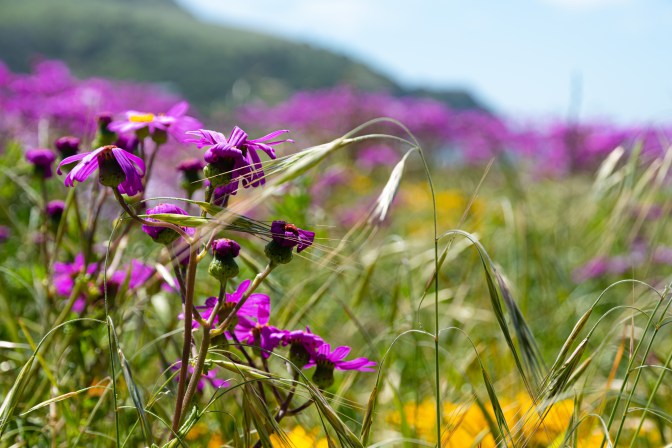 1E45CE3B-7F54-4E24-B5D7-251E67DCC411