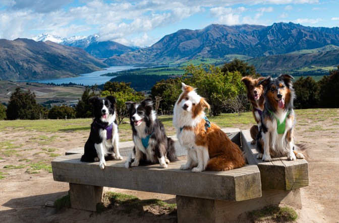 21C37844-1D95-4203-8298-F7BDB1CB5908